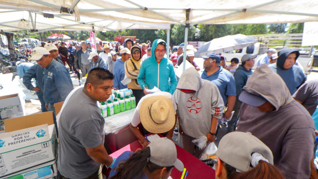 Más semillas y agua para Mixquic: Gobierno impulsa la producción de romerito y hortalizas