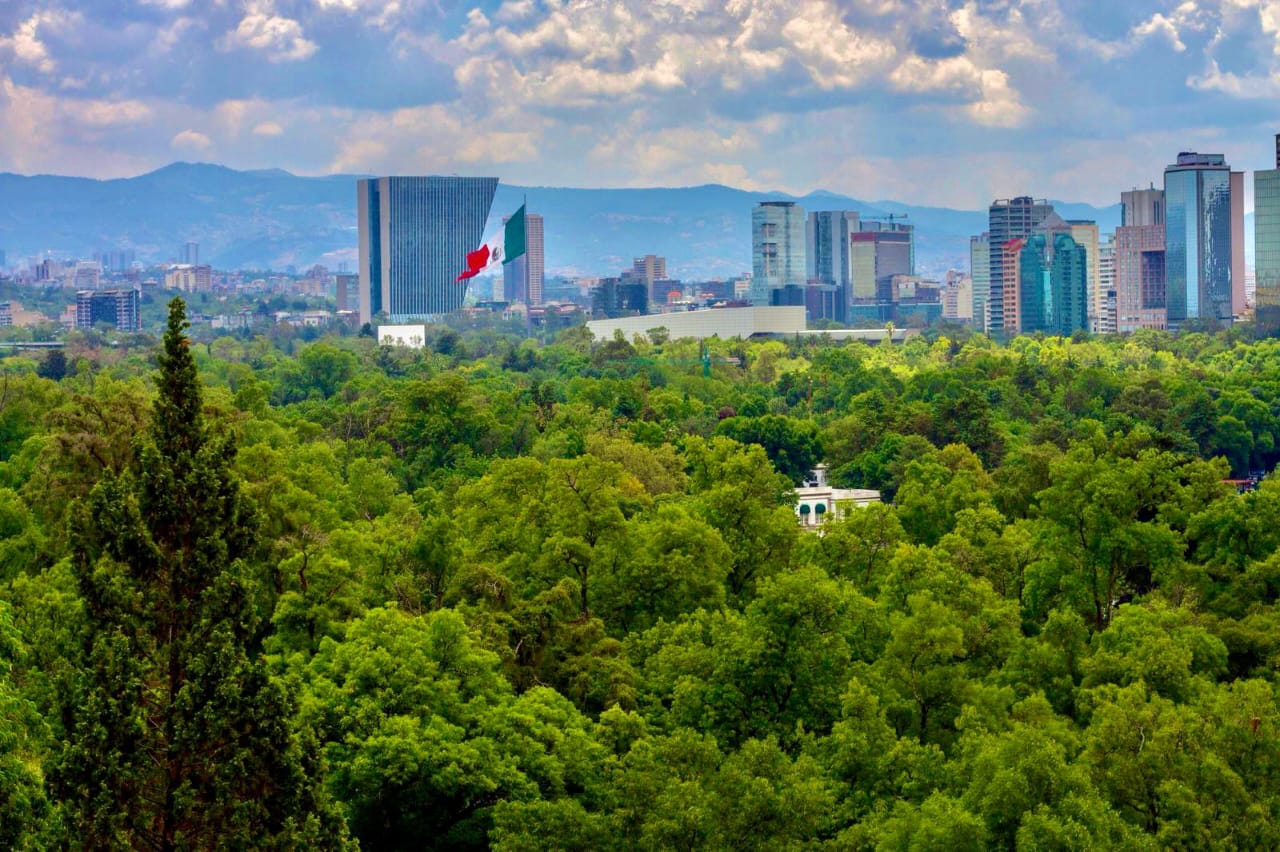 Pequeños cambios, gran impacto: cómo reducir tu huella de carbono en la CDMX