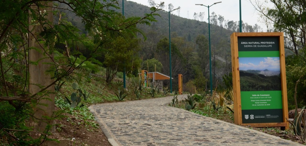 Un pulmón del norte está de fiesta: 35 años de la Sierra de Guadalupe como ANP