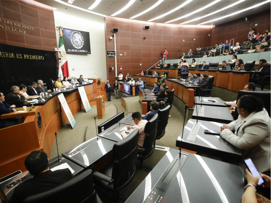 Senado responde a MCCI: contratos sí fueron públicos y auditados