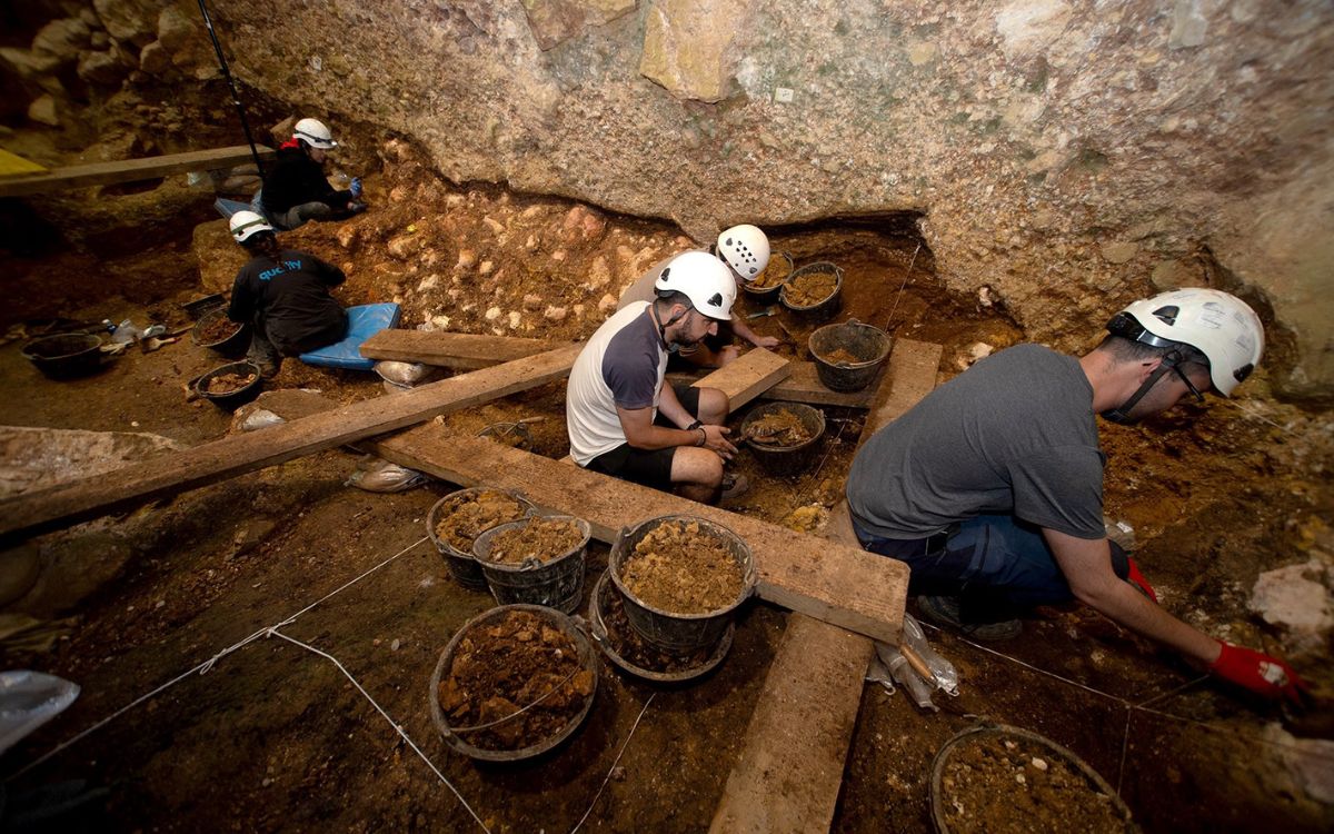 Un niño decapitado hace 850 mil años: nueva evidencia de canibalismo infantil en Atapuerca