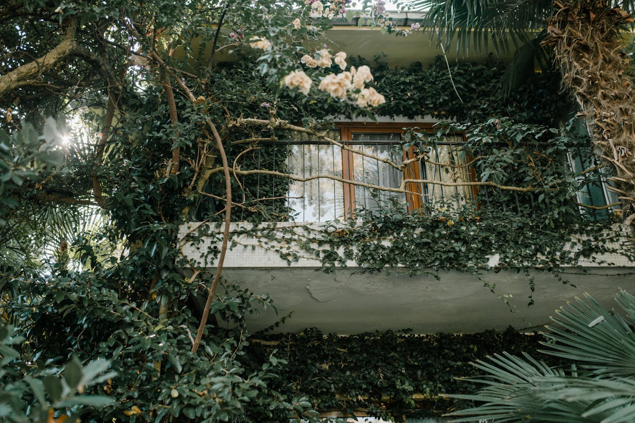 Jardinería coreana en balcones: el fenómeno Garden Puns y cómo crear un mini oasis en menos de 2 m²